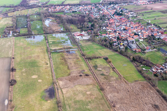 Flooded flood ditch/Erlenbach at the Waschmühle in the district Mühlhofen in Billigheim-Ingenheim in the state Rhineland-Palatinate, Germany
