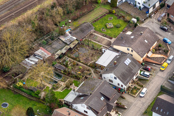 In the rose garden in Winden in the state Rhineland-Palatinate, Germany from a drone