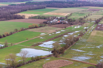 Flooded Bruchgraben, Buschurgraben, Flutgraben, Erlenbach in Steinweiler in the state Rhineland-Palatinate, Germany