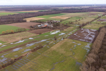 Oblique view of Flooded Bruchgraben, Buschurgraben, Flutgraben, Erlenbach in Steinweiler in the state Rhineland-Palatinate, Germany