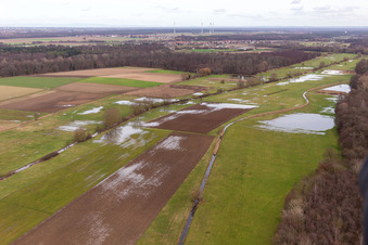 Flooded Bruchgraben, Buschurgraben, Flutgraben, Erlenbach in Steinweiler in the state Rhineland-Palatinate, Germany from above