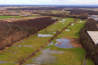 Flooded Bauerngraben, Flutgraben, Erlenbach in Steinweiler in the state Rhineland-Palatinate, Germany