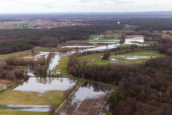 Aerial view of Riparian areas and flooded flood meadows of Polder Neupotz due to a river bed leading to flood levels of the Rhine river in Neupotz in the state Rhineland-Palatinate, Germany