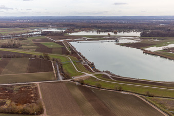 Flooded Old Rhine / Polder Neupotz in Rheinzabern in the state Rhineland-Palatinate, Germany