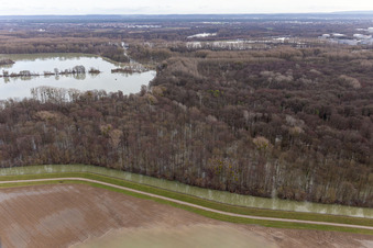 Flooded Old Rhine / Polder Neupotz in Wörth am Rhein in the state Rhineland-Palatinate, Germany