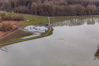 Riparian areas and flooded flood meadows of Polder Neupotz due to a river bed leading to flood levels of the Rhine river in Neupotz in the state Rhineland-Palatinate, Germany