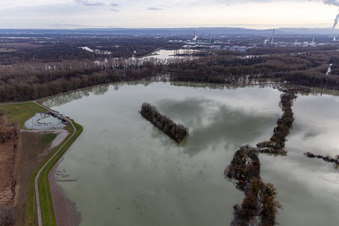 Aerial view of Riparian areas and flooded flood meadows of Polder Neupotz due to a river bed leading to flood levels of the Rhine river in Neupotz in the state Rhineland-Palatinate, Germany