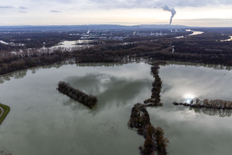 Aerial photograpy of Flooded Old Rhine / Polder Neupotz in Wörth am Rhein in the state Rhineland-Palatinate, Germany