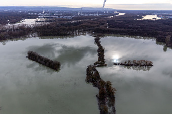 Oblique view of Flooded Old Rhine / Polder Neupotz in Wörth am Rhein in the state Rhineland-Palatinate, Germany