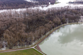 Flooded Old Rhine Hörnel in Wörth am Rhein in the state Rhineland-Palatinate, Germany