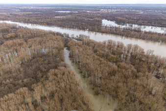 Aerial view of Flooded Rhine meadows at the gorge in Neupotz in the state Rhineland-Palatinate, Germany