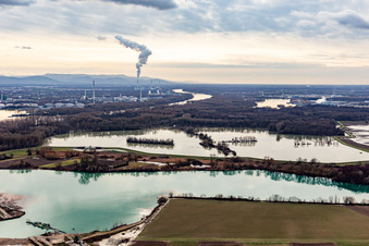 Flooded Old Rhine / Polder Neupotz in Neupotz in the state Rhineland-Palatinate, Germany