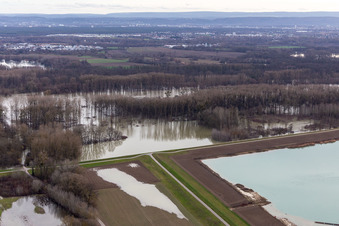 Riparian areas and flooded flood meadows of Polder Neupotz due to a river bed leading to flood levels of the Rhine river in Neupotz in the state Rhineland-Palatinate, Germany