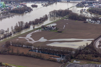 Aerial view of Hofgut Ludwigsau during Rhine floods in the district Maximiliansau in Wörth am Rhein in the state Rhineland-Palatinate, Germany