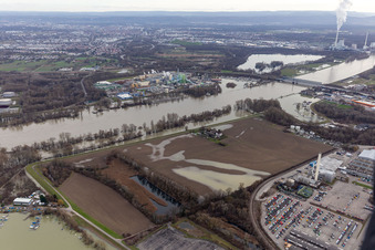 Aerial photograpy of Hofgut Ludwigsau during Rhine floods in the district Maximiliansau in Wörth am Rhein in the state Rhineland-Palatinate, Germany