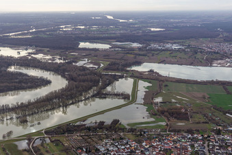 Aerial view of Hagenbacher Altrhein in front of the island of Nauas during flood in the district Maximiliansau in Wörth am Rhein in the state Rhineland-Palatinate, Germany