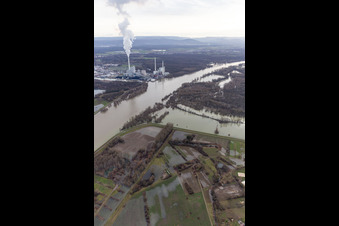 Floodplains and meadows landscape on the old Rhine of Hagenbachin front of the island of Nauas with gold ground when the Rhine floods in Maximiliansau in the state Rhineland-Palatinate, Germany