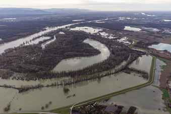 Hagenbacher Altrhein in front of the island of Nauas with gold background during Rhine flood in the district Maximiliansau in Wörth am Rhein in the state Rhineland-Palatinate, Germany