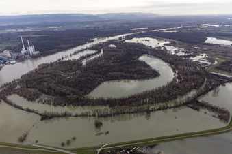 Aerial view of Hagenbacher Altrhein in front of the island of Nauas with gold background during Rhine flood in the district Maximiliansau in Wörth am Rhein in the state Rhineland-Palatinate, Germany