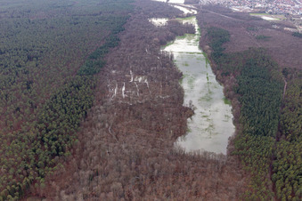 Aerial view of Otterbach with flooded meadows in the Bienwald in Kandel in the state Rhineland-Palatinate, Germany