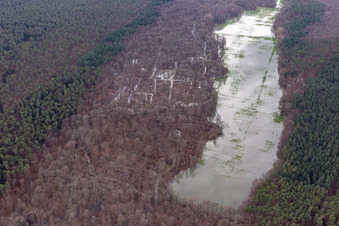 Aerial photograpy of Otterbach with flooded meadows in the Bienwald in Kandel in the state Rhineland-Palatinate, Germany