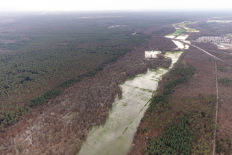 Aerial photograpy of Otterbach with flooded meadows in the Bienwald in Wörth am Rhein in the state Rhineland-Palatinate, Germany