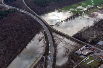 Aerial photograpy of Forest area Bienwald Otterbach with flooded meadows on the A65 in Kandel in the state Rhineland-Palatinate, Germany