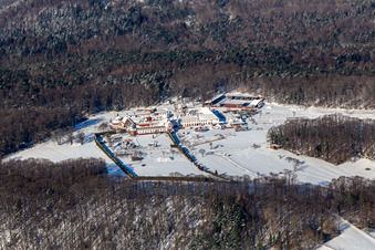 Winter aerial view in the snow of the Liebfrauenberg Monastery in Bad Bergzabern in the state Rhineland-Palatinate, Germany