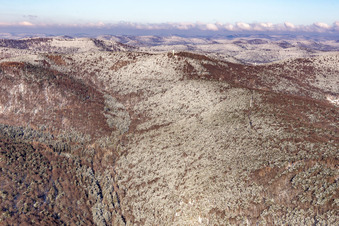 Winter aerial view in the snow of the Dierbachtal with Stäffelsberg tower in Dörrenbach in the state Rhineland-Palatinate, Germany