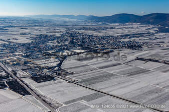 Aerial view of Winter aerial view in the snow in Edenkoben in the state Rhineland-Palatinate, Germany