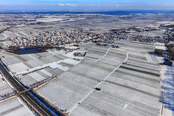 Aerial view of Winter aerial view in the snow with castle pond in Kirrweiler in the state Rhineland-Palatinate, Germany