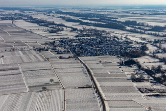 Winter aerial view in the snow in Venningen in the state Rhineland-Palatinate, Germany