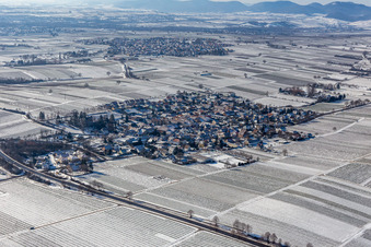Winter aerial view in the snow in Walsheim in the state Rhineland-Palatinate, Germany