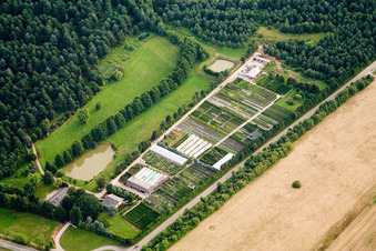 Building and greenhouses of Store plant market PflanzenOase Jansen with Rhododendron-parc in the district Langensteinbach in Karlsbad in the state Baden-Wurttemberg