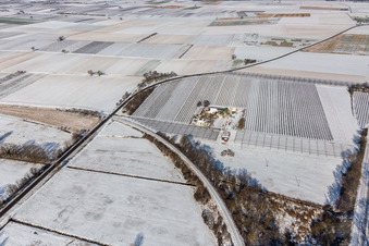 Aerial view of Winter aerial view in the snow of the Gensheimer asparagus and fruit farm in Steinweiler in the state Rhineland-Palatinate, Germany