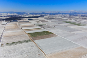 Snow-covered fields in winter in Billigheim-Ingenheim in the state Rhineland-Palatinate, Germany