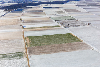 Aerial view of Snow-covered fields and orchards in winter in Billigheim-Ingenheim in the state Rhineland-Palatinate, Germany