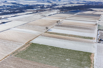 Aerial view of Snow-covered fields in winter in Billigheim-Ingenheim in the state Rhineland-Palatinate, Germany