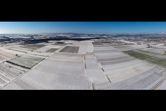 Snow-covered fields in winter in the district Mühlhofen in Billigheim-Ingenheim in the state Rhineland-Palatinate, Germany
