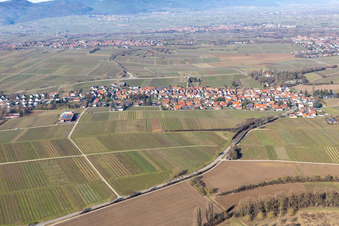 District Wollmesheim in Landau in der Pfalz in the state Rhineland-Palatinate, Germany seen from above