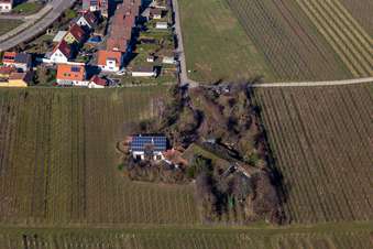 Bioland Viticulture Under the Grass Roof in the district Wollmesheim in Landau in der Pfalz in the state Rhineland-Palatinate, Germany