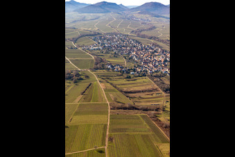 District Arzheim in Landau in der Pfalz in the state Rhineland-Palatinate, Germany from above