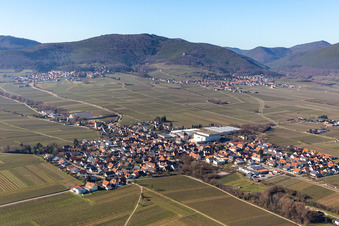Böchingen in the state Rhineland-Palatinate, Germany from above