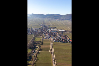 Böchingen in the state Rhineland-Palatinate, Germany seen from above