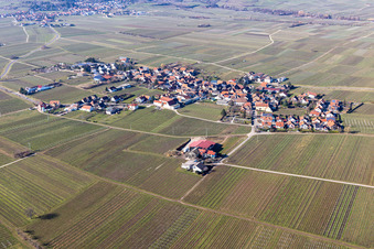 Aerial view of Flemlingen in the state Rhineland-Palatinate, Germany