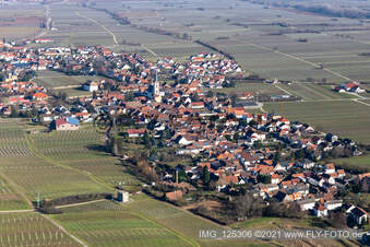 Aerial photograpy of Edesheim in the state Rhineland-Palatinate, Germany