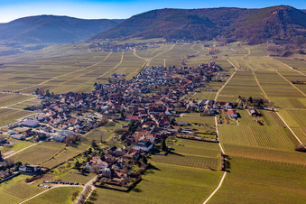 Oblique view of Rhodt unter Rietburg in the state Rhineland-Palatinate, Germany