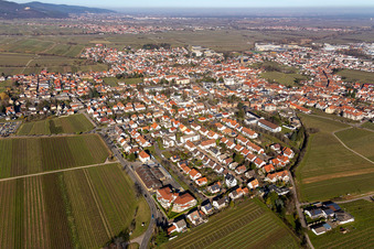 Oblique view of Edenkoben in the state Rhineland-Palatinate, Germany