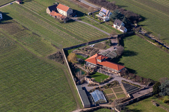 Aerial view of Klosterstr in Edenkoben in the state Rhineland-Palatinate, Germany