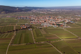 Aerial view of District Alsterweiler in Maikammer in the state Rhineland-Palatinate, Germany